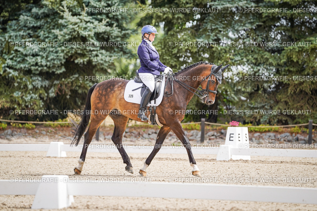 DSC02479 | Pferdegrafie