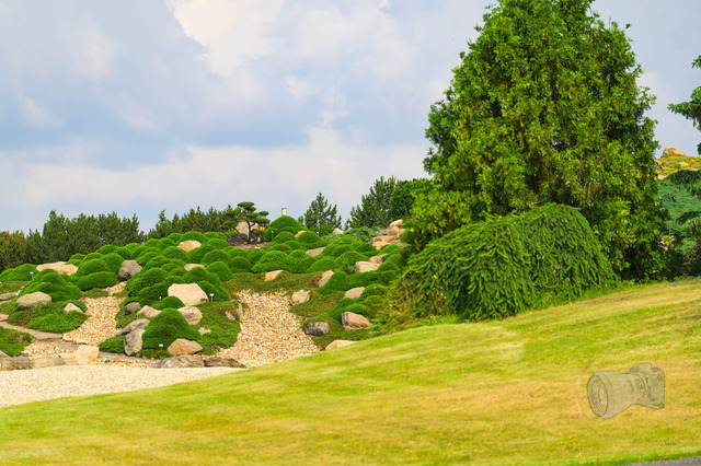 Landschaft im Findlingspark Nochten | Shop für Prints Landschaftsfotografie Sächsische Schweiz Naturfotografie in Thüringen Fotos vom Findlingspark Nochten Kloster Sankt Marienstern Bilder Festung Königstein PanoramaRhododendronpark Kromlau FotogalerSchleswig-Holstein Küstenlandschaften
