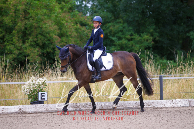 DKP47083 | Turniersportfotografie; Pferdefotografie; Dressurfotografie