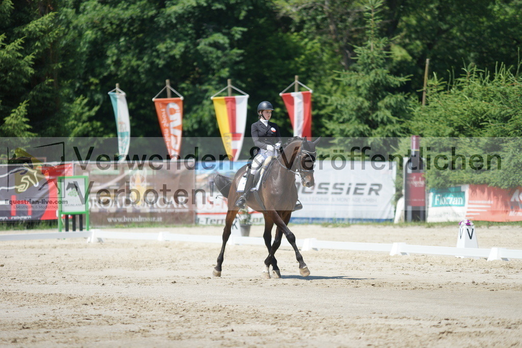 DSC03229 | equestrian-live-com