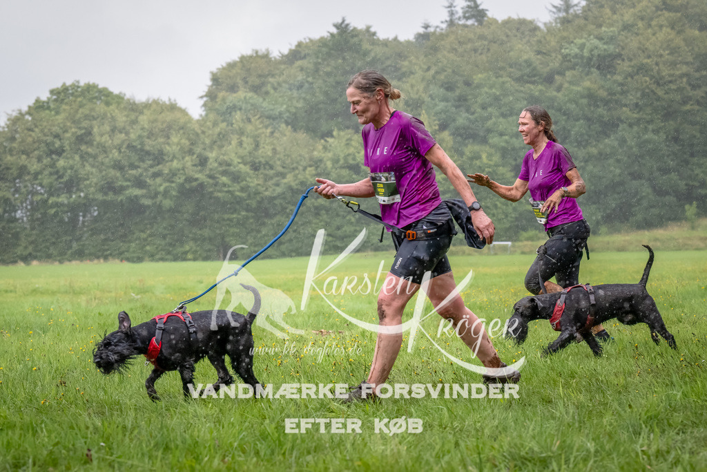 0936_ZZ91474-Bearbeitet | kk-dogfotos