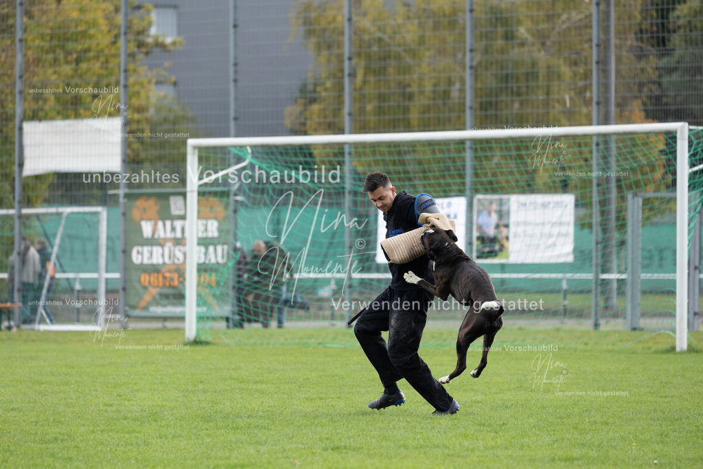 _16A7109 | Einzigartige Fotos von Hunden & Menschen –Actionfotos, Portraits, Vereinsaufnahmen & Paarshootings – authentisch, lebendig & mit Herz.