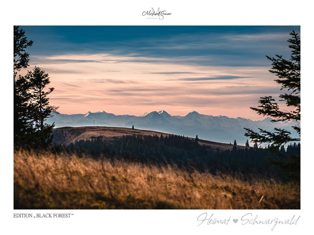 Edition "BLACK FOREST" | Motiv: Blick vom Feldberg zum Herzogenhorn mit den Alpen im Hintergrund. Die beliebtesten Fotografien aus dem Schwarzwald als signierte Sonderedition. Eine exklusive Wanddekoration für alle Liebhaber von traumhaften Schwarzwaldlandschaften. Hochwertige Wandbilder in brillanter Druckqualität auf Acrylglas, Alu-Dibond und Leinwand für Ihr Zuhause – inklusive rückseitige Aufhängung.
 - Realisiert mit Pictrs.com