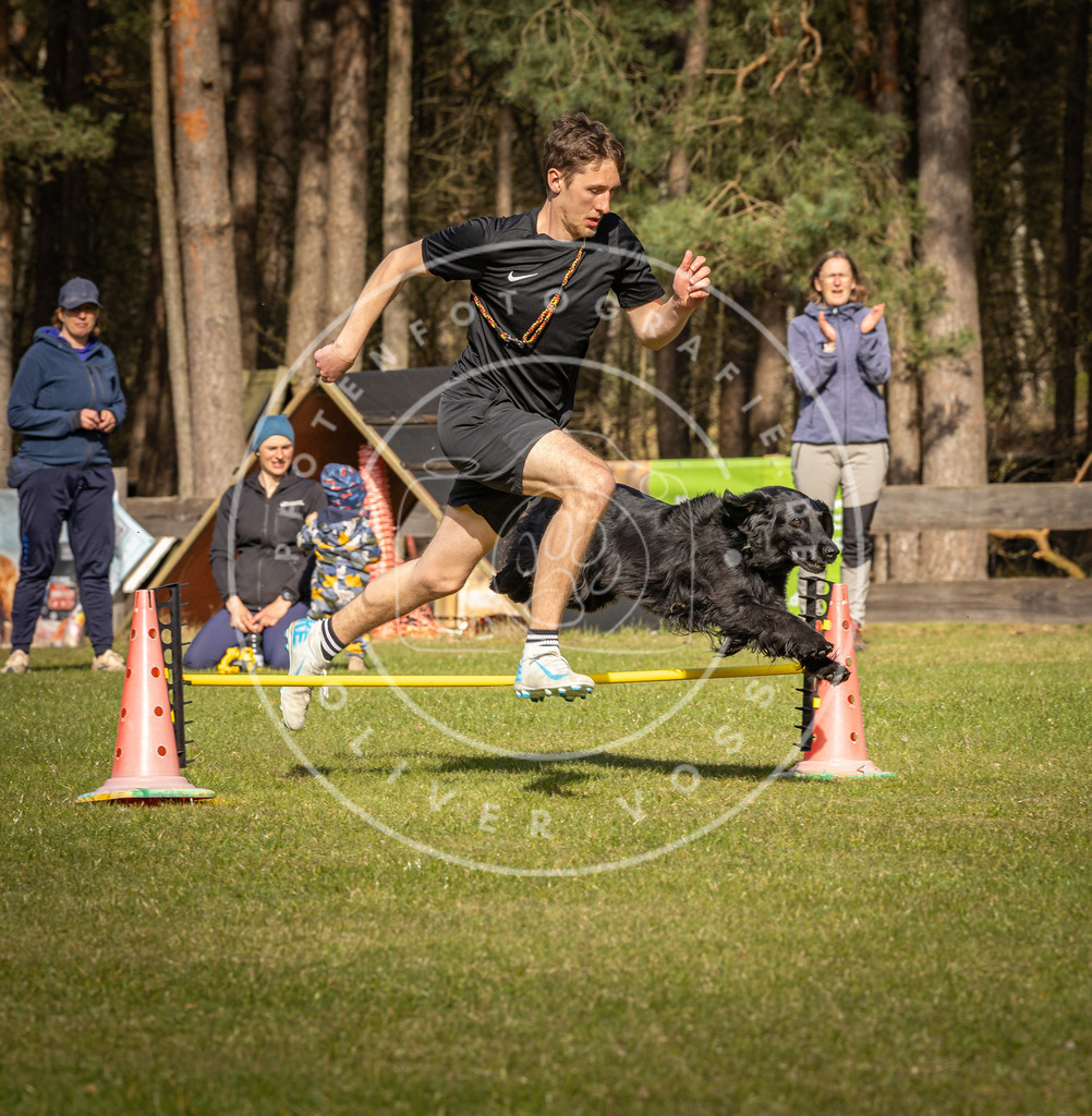 Pfotenfotografie_DV3A2642 | Hundefotografie, Tierfotograf, Pfotenfotografie, Fotoshooting Hund, Hunde Portrait, Hundesport, Hundeportraits, Heideshooting, Hunde, Sportfotograf, Hundefotograf, Turnierhundsport, THS,  - Realisiert mit Pictrs.com
