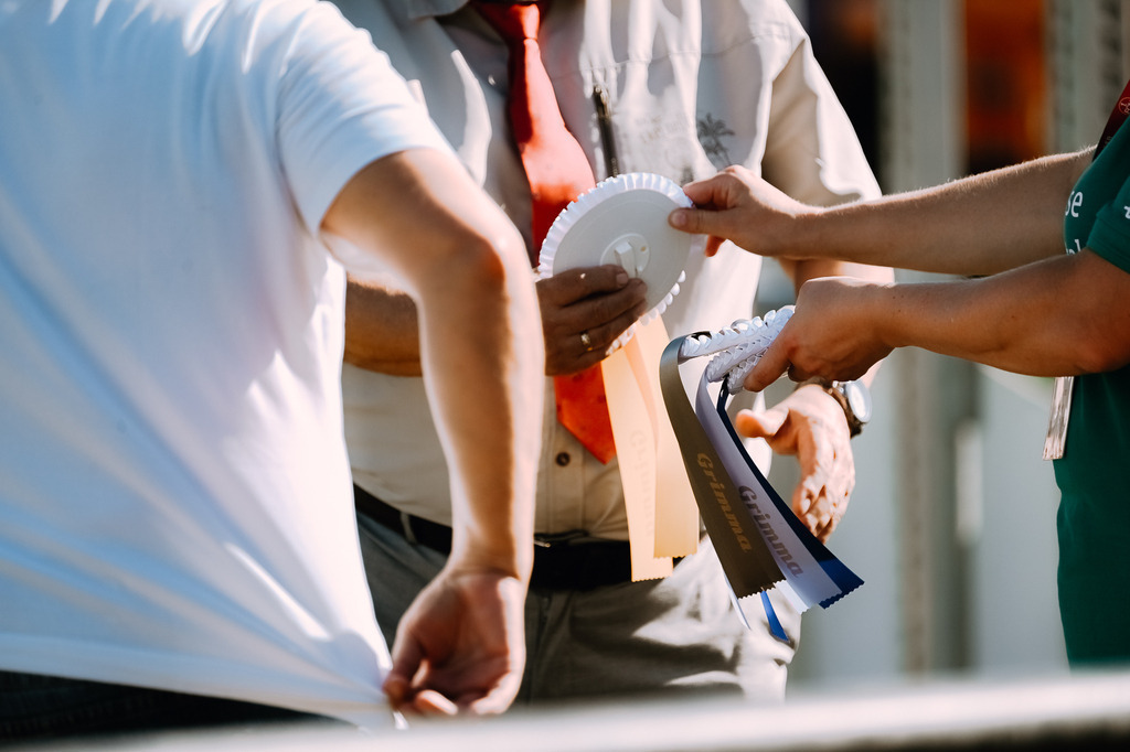 DSC_7058 | Pferde- und Turnierfotografie in Westsachsen. Pferdeportraits, Auftragszeichnungen und intuitive Kunst.