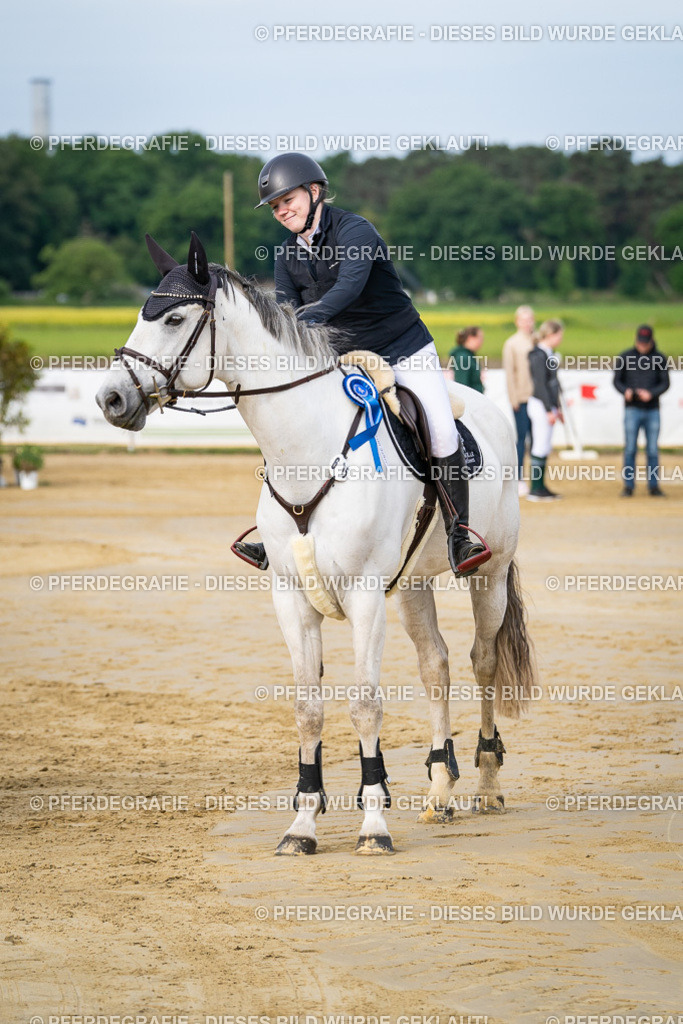 DSC03156 | Pferdegrafie