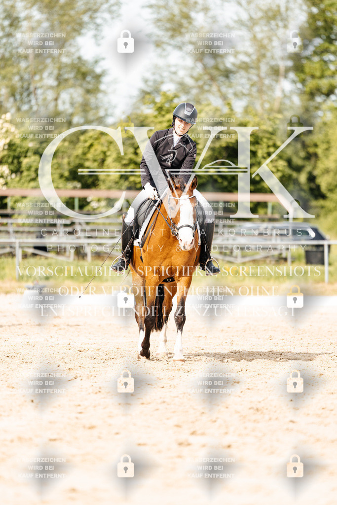 CK900594 | Turnierfotografie Pferdefotografie Trier Rheinland-Pfalz Pferdesport Reitsport Tierfotografie Sportfotografie Pferdevideo Pferdevideografie Equestrianvideography equestrianphotography  - Realisiert mit Pictrs.com