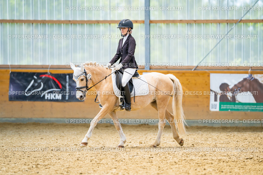 DSC09631 | Pferdegrafie