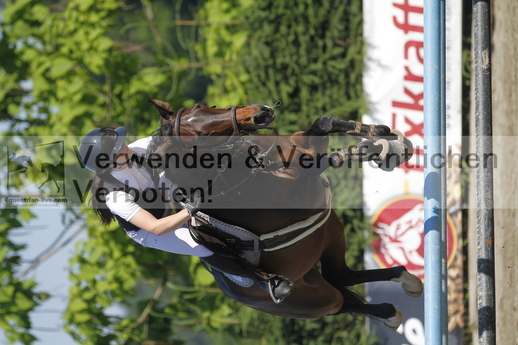 _MG_8230 | equestrian-live-com