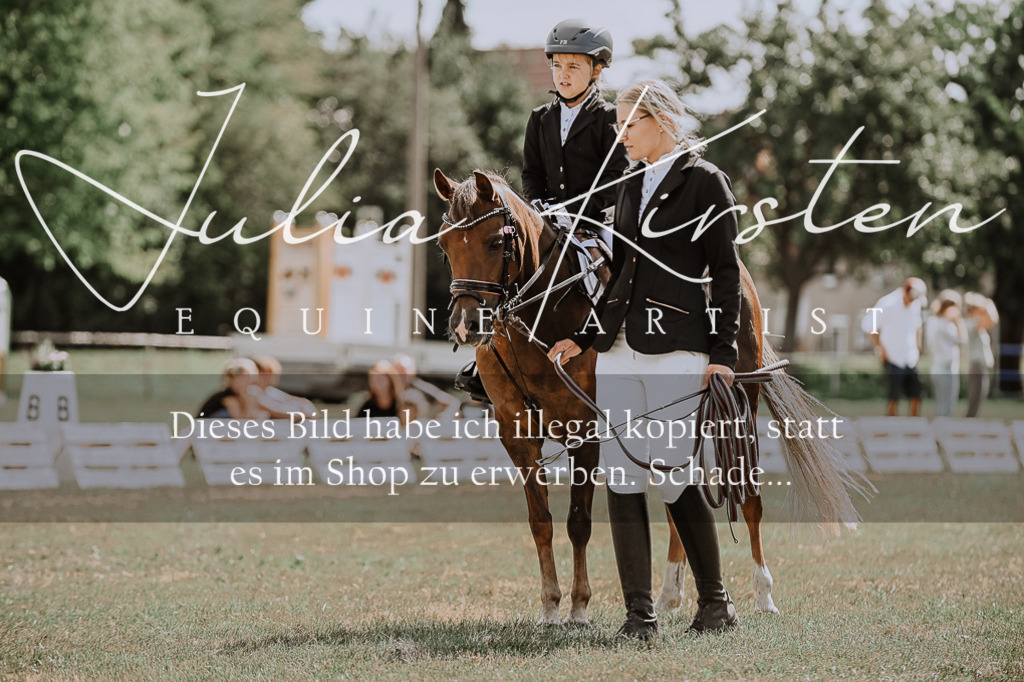 DSC_7645 | Pferde- und Turnierfotografie in Westsachsen. Pferdeportraits, Auftragszeichnungen und intuitive Kunst.