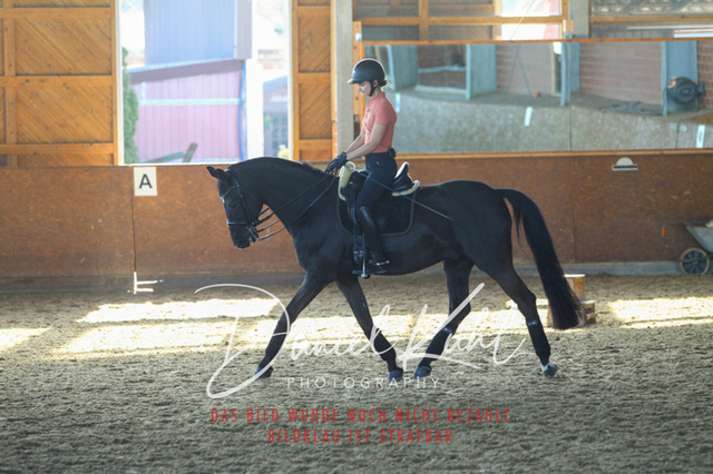 DKP42280 | Turniersportfotografie; Pferdefotografie; Dressurfotografie