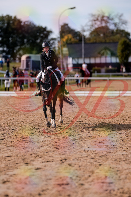 2026_10_03_Siefer-Hof_132633_Z81_80230164 | Professionelle Reitsport-, Turnier- und Eventfotografie von Robert Broda. Galerien mit ausgewählten und bearbeiteten Bildern direkt online ansehen und bestellen.
