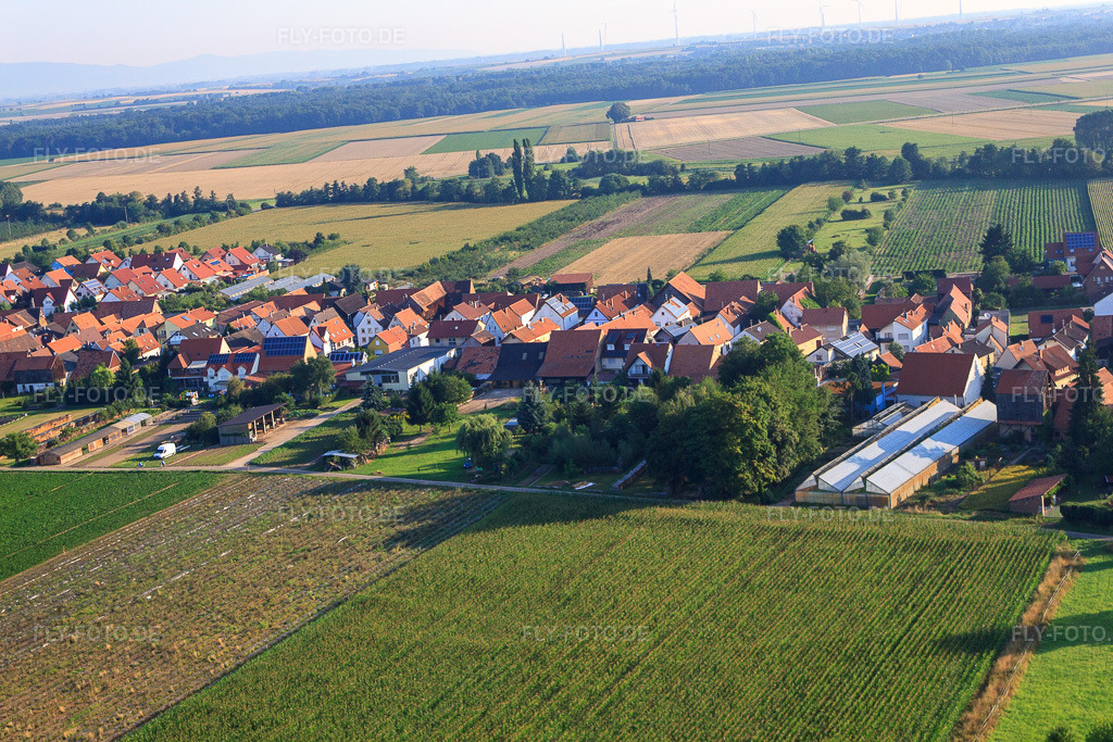 Luftbild: Ortsansicht von Süden in Erlenbach bei Kandel im Bundesland Rheinland-Pfalz in Deutschland. Foto: IMG_70233.jpg vom 19.07.2014 durch Werner Riehm/FLY-FOTO.deAuflösung des Originals: 4752 x 3168 px