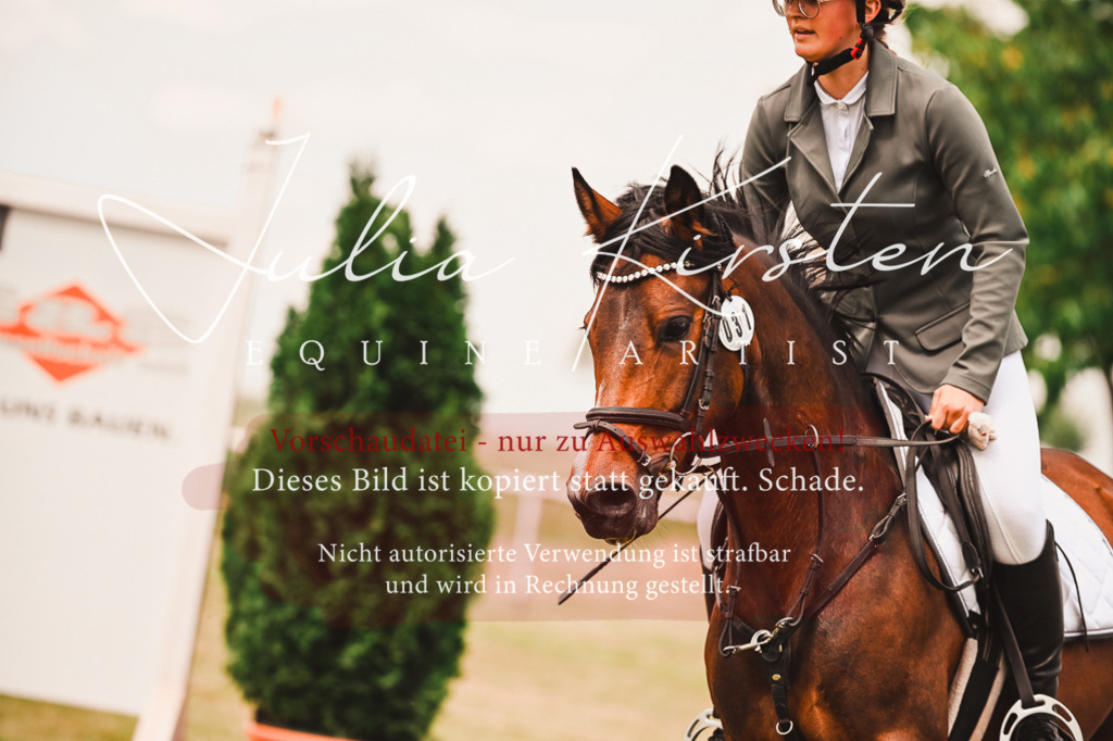 DSC_6929 | Pferde- und Turnierfotografie in Westsachsen. Pferdeportraits, Auftragszeichnungen und intuitive Kunst.