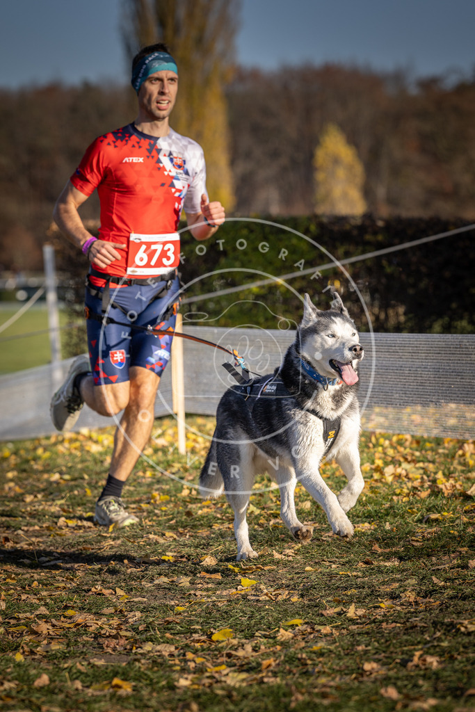 CaniXpix_DV3A0930 | Hundefotografie, Tierfotograf, Pfotenfotografie, Fotoshooting Hund, Hunde Portrait, Hundesport, Hundeportraits, Heideshooting, Hunde, Sportfotograf, Hundefotograf, Turnierhundsport, THS,  - Realisiert mit Pictrs.com