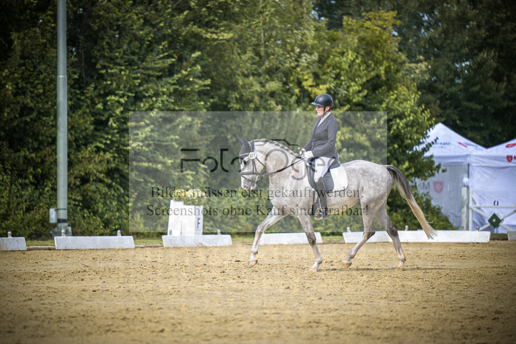 DOS_6979 | Entdecke hochwertige Reitturnierfotos von Foto Oger. Professionell, emotional und authentisch – jetzt Lieblingsmomente im Shop bestellen.Deutschlandweite Turnierfotografie. - Realisiert mit Pictrs.com