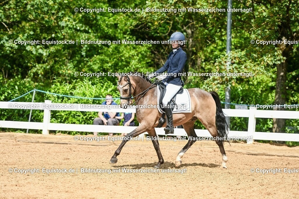 20230716_01_Dressurprüfung Kl.M_0199 | equistock