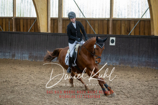 IMG_1987 | Turniersportfotografie; Pferdefotografie; Dressurfotografie