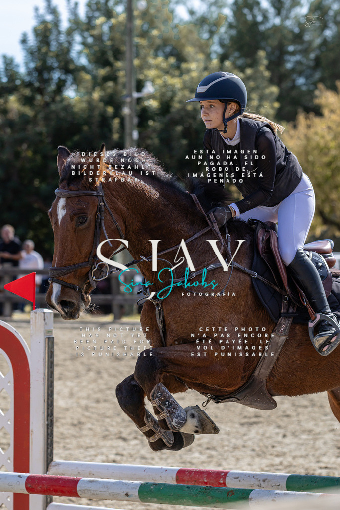 IMG_0525 | s-jay-photography - Realisiert mit Pictrs.com