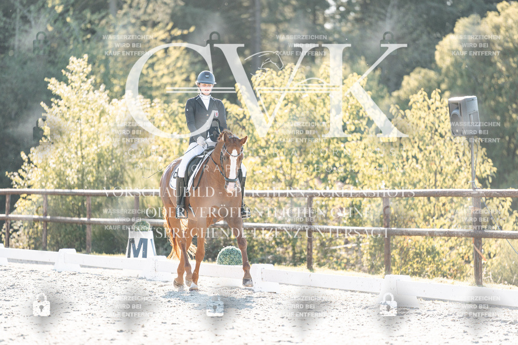CK906919 | Turnierfotografie Pferdefotografie Trier Rheinland-Pfalz Pferdesport Reitsport Tierfotografie Sportfotografie Pferdevideo Pferdevideografie Equestrianvideography equestrianphotography  - Realisiert mit Pictrs.com