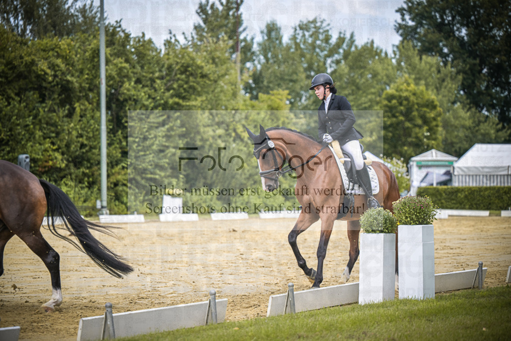 DOS_1412 | Entdecke hochwertige Reitturnierfotos von Foto Oger. Professionell, emotional und authentisch – jetzt Lieblingsmomente im Shop bestellen.Deutschlandweite Turnierfotografie. - Realisiert mit Pictrs.com