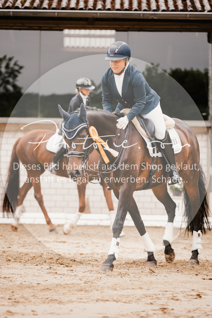 3I6A7884 | Stimmungsvolle Portraits und Reitsportfotografie im Ruhrgebiet und im Münsterland.

Pferdefotografie, Hundefotografie, Tierfotografie, Reportagen, Portraits von Tier und Mensch, Turnierfotografie in Bochum, Recklinghausen, Marl, Haltern am See, Dülmen.. - Realisiert mit Pictrs.com
