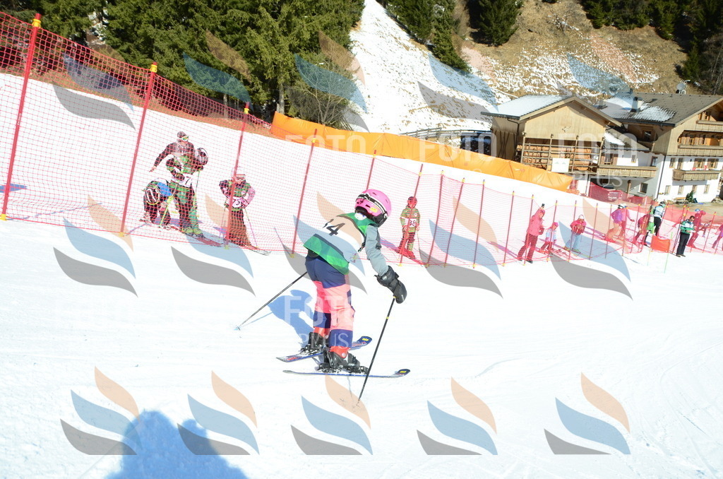 C4953 | holidayphoto