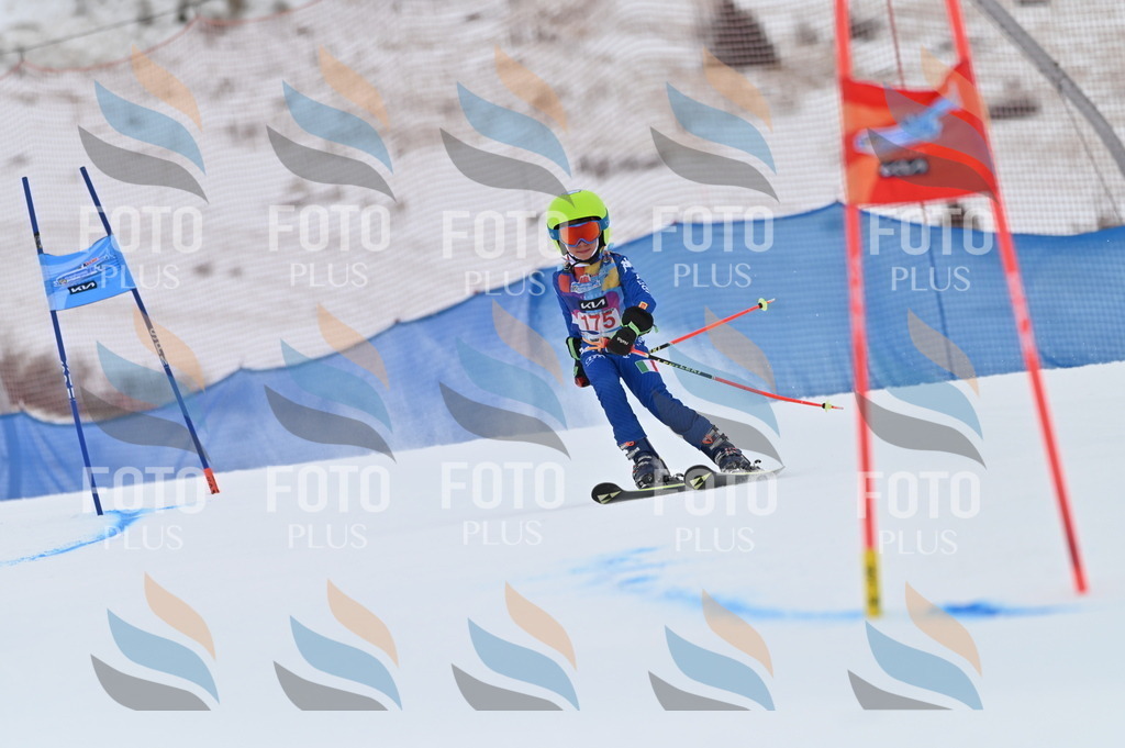 BGV_0836 | holidayphoto