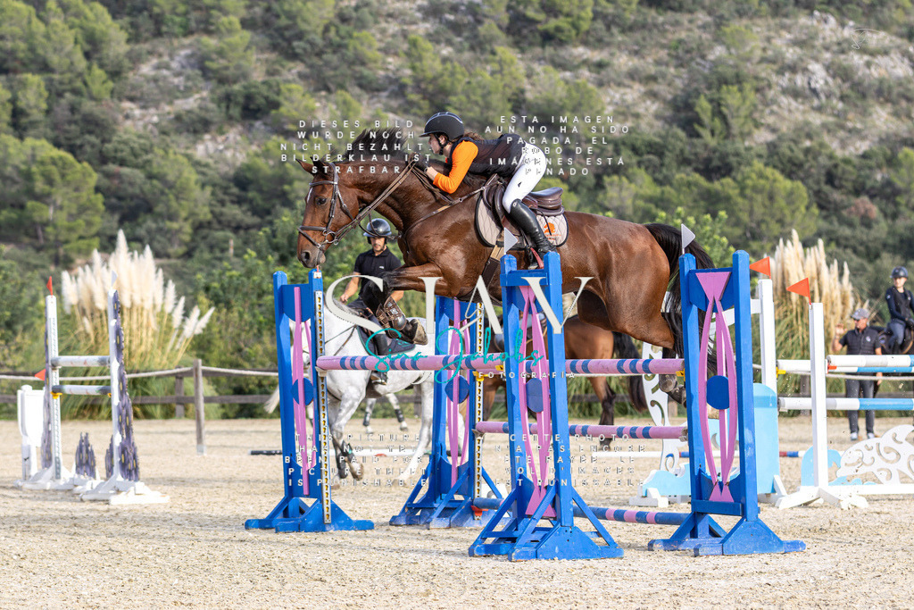 IMG_4767 | s-jay-photography - Realisiert mit Pictrs.com