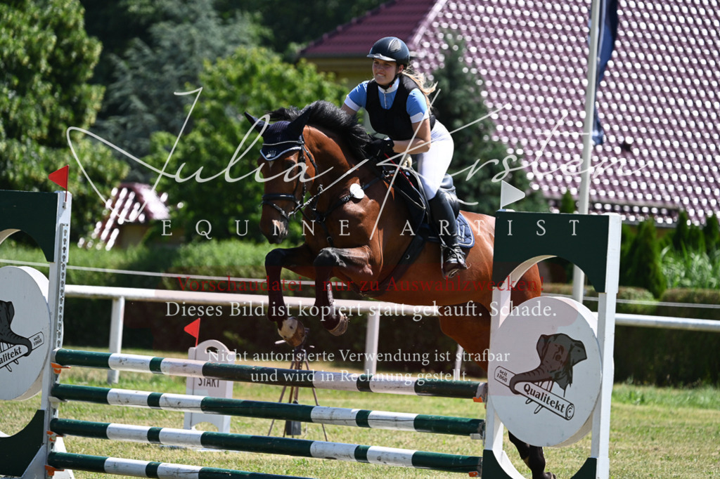 DSC_0658 | Pferde- und Turnierfotografie in Westsachsen. Pferdeportraits, Auftragszeichnungen und intuitive Kunst.