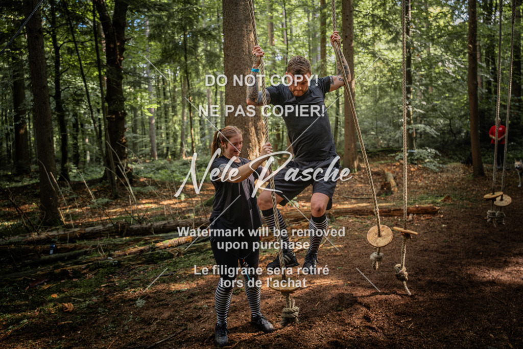 nelerasche_SoWingst1130-1230_53 | nelerasche