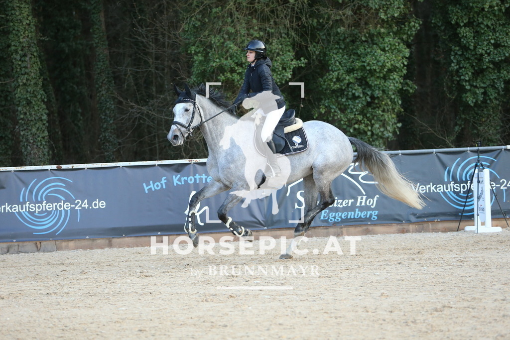 DL2Q4730 | Willkommen bei Brunnmayr - Design & Fotografie – Ihrem Spezialisten für Reitturniere und Pferdeveranstaltungen in Oberösterreich, Salzburg und Bayern! Seit über 17 Jahren sind wir leidenschaftlich dabei.