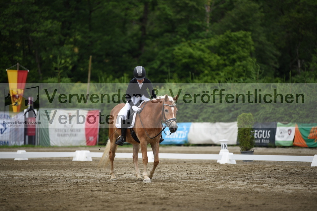 DSC_8168 | equestrian-live-com