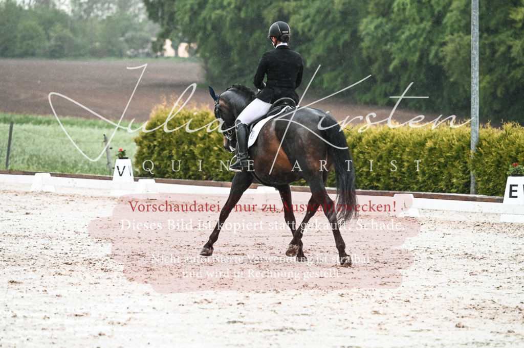 DSC_4695 | Pferde- und Turnierfotografie in Westsachsen. Pferdeportraits, Auftragszeichnungen und intuitive Kunst.