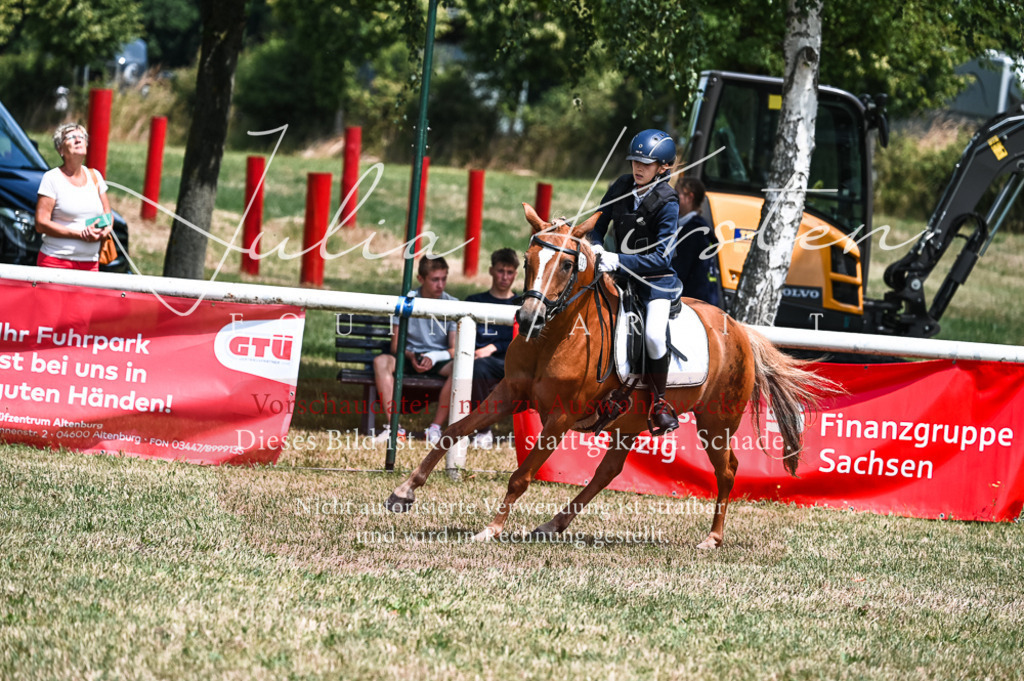 DSC_9671 | Pferde- und Turnierfotografie in Westsachsen. Pferdeportraits, Auftragszeichnungen und intuitive Kunst.