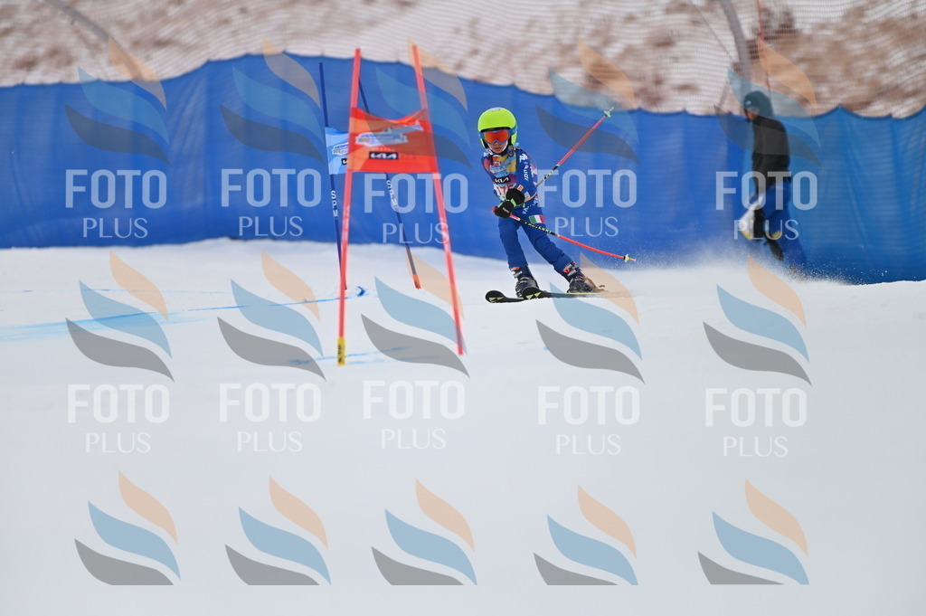 BGV_0810 | holidayphoto