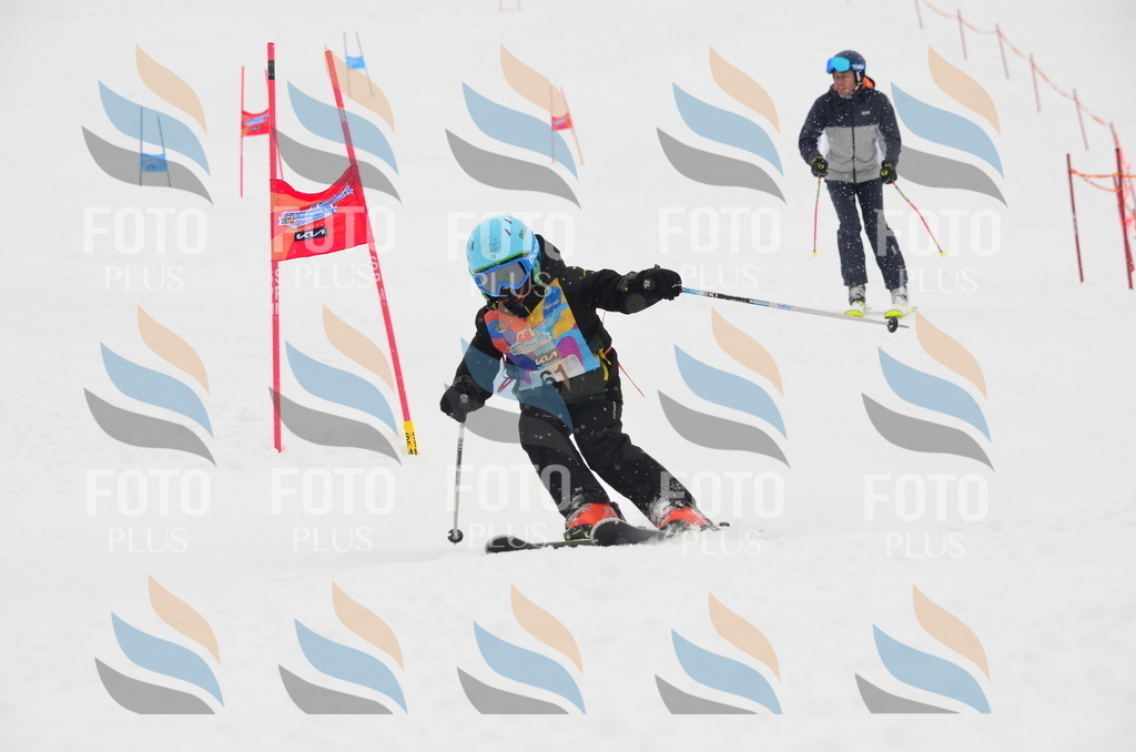 C1053 | holidayphoto