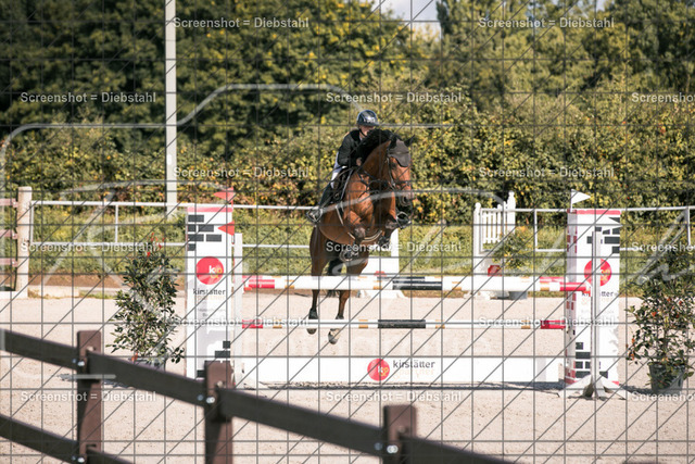 _W6A3168 | ronjaprokoschfotografie - Realisiert mit Pictrs.com