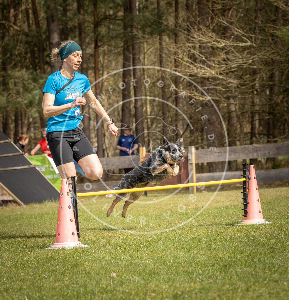 Pfotenfotografie_DV3A6526 | Hundefotografie, Tierfotograf, Pfotenfotografie, Fotoshooting Hund, Hunde Portrait, Hundesport, Hundeportraits, Heideshooting, Hunde, Sportfotograf, Hundefotograf, Turnierhundsport, THS,  - Realisiert mit Pictrs.com