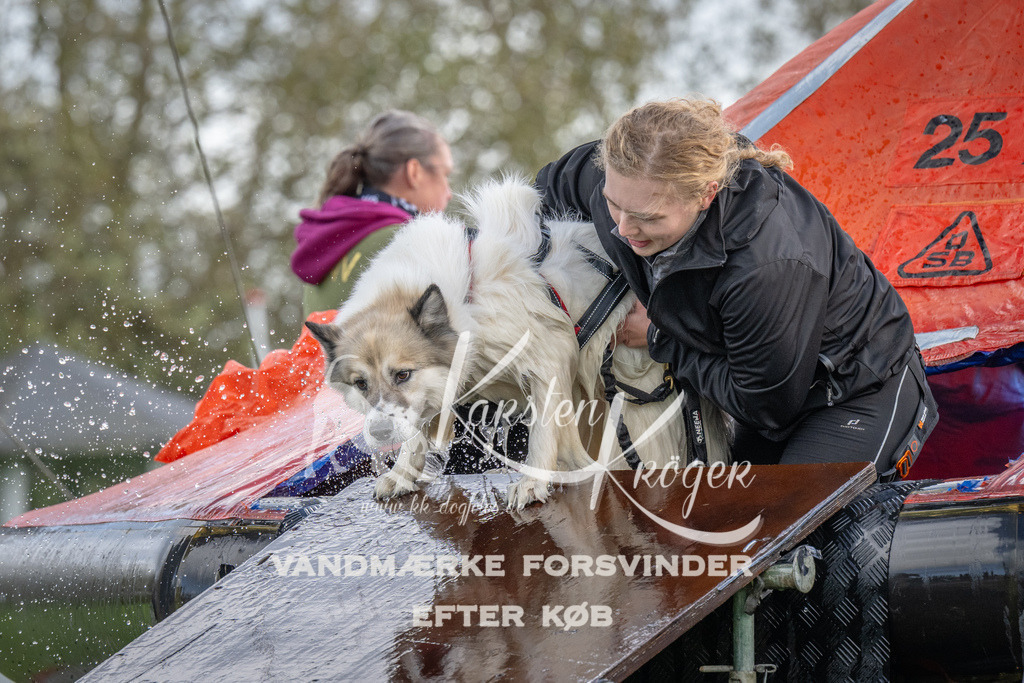 1223-93614 | kk-dogfotos