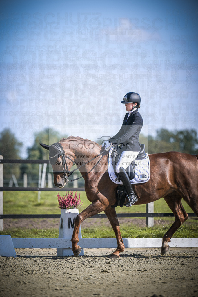 DOS_2944 | Entdecke hochwertige Reitturnierfotos von Foto Oger. Professionell, emotional und authentisch – jetzt Lieblingsmomente im Shop bestellen.Deutschlandweite Turnierfotografie. - Realisiert mit Pictrs.com