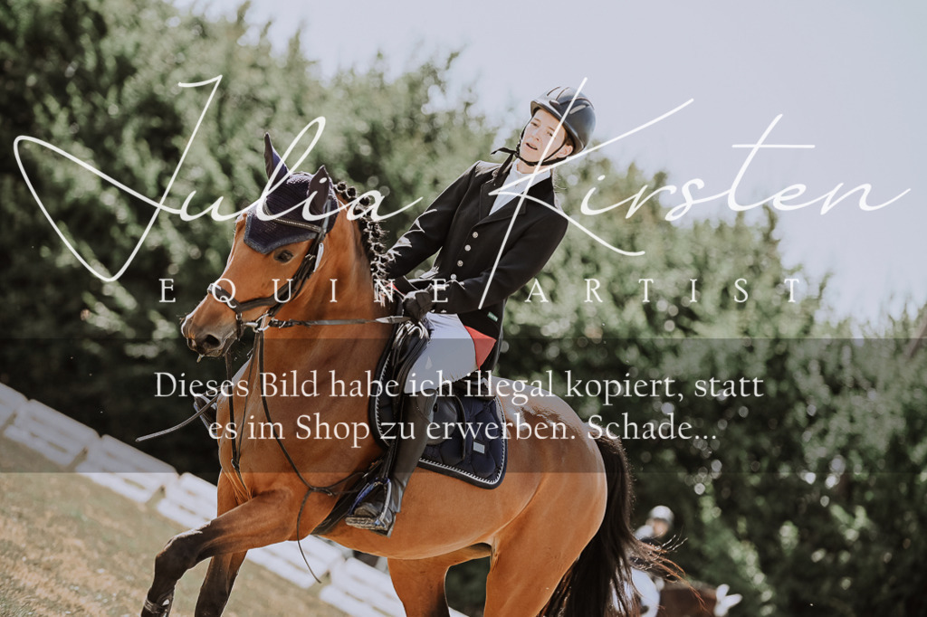 DSC_8092 | Pferde- und Turnierfotografie in Westsachsen. Pferdeportraits, Auftragszeichnungen und intuitive Kunst.