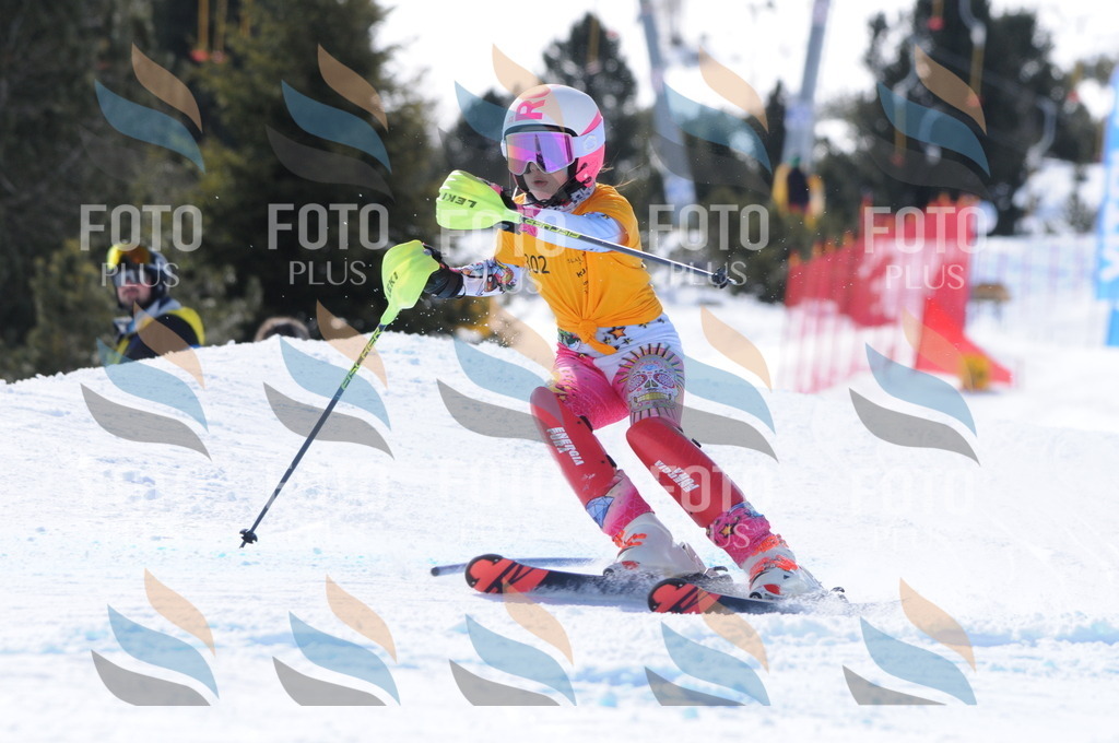 C9139 | holidayphoto