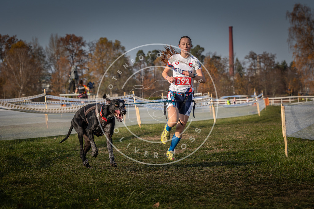 CaniXpix_0L8A9786 | Hundefotografie, Tierfotograf, Pfotenfotografie, Fotoshooting Hund, Hunde Portrait, Hundesport, Hundeportraits, Heideshooting, Hunde, Sportfotograf, Hundefotograf, Turnierhundsport, THS,  - Realisiert mit Pictrs.com