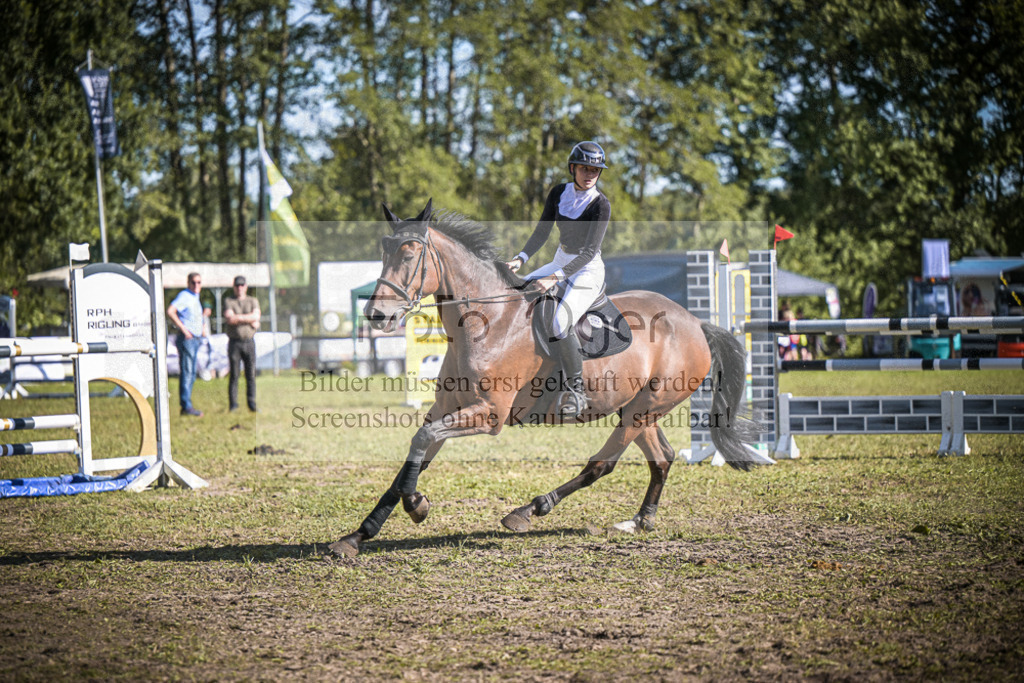 DOS_0952 | Entdecke hochwertige Reitturnierfotos von Foto Oger. Professionell, emotional und authentisch – jetzt Lieblingsmomente im Shop bestellen.Deutschlandweite Turnierfotografie. - Realisiert mit Pictrs.com