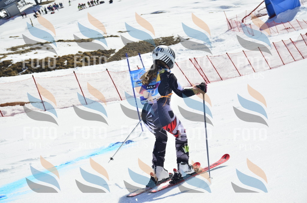 _ELE0337 | holidayphoto