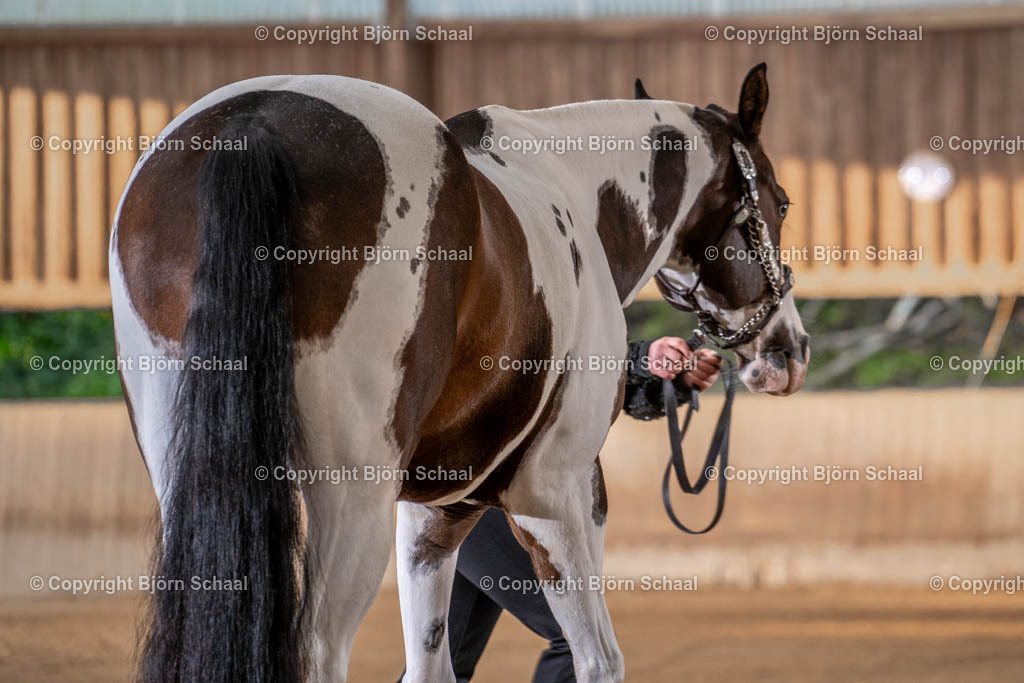 LMB07883 | BS-foto