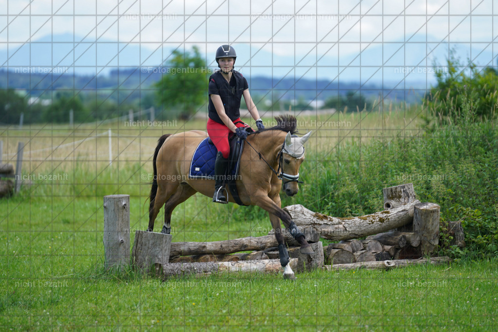 20240622-FAH07410 | Turnierfotografen Bayern, Reitsportbilder aus dem Geländekurs mit Felix Etzel auf dem Gut Waitzacker 2024