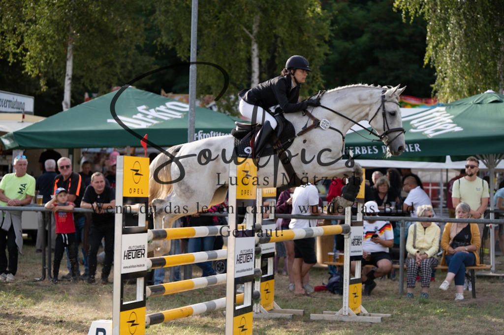 A7V09801 | Pferdefotograf