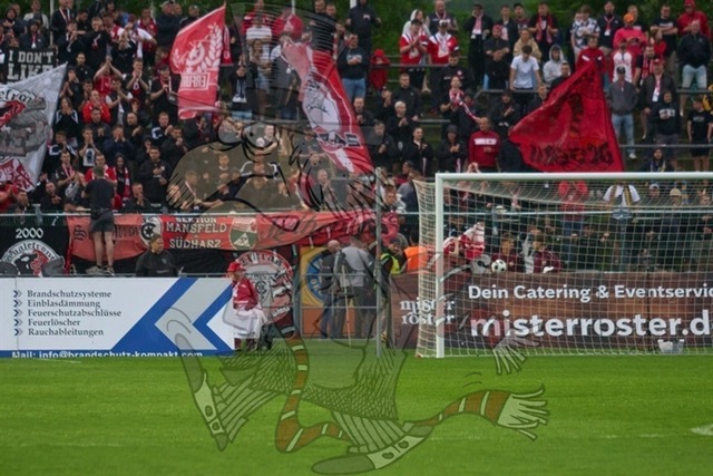 BFC Dynamo vs. Hallescher FC 053 | mythos-online-redaktion